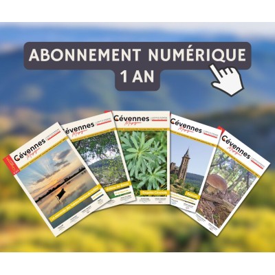 Abonnement numérique - 1 an