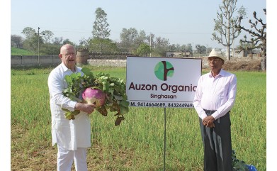UN BEAU LÉGUME DU DÉSERT