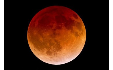 Chronique du temps qu'il fait et des saisons, des dictons, fêtes et traditions d'AVRIL 2024 