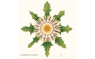 MAISON ROUGE - MUSÉE des vallées cévenoles - Programme février