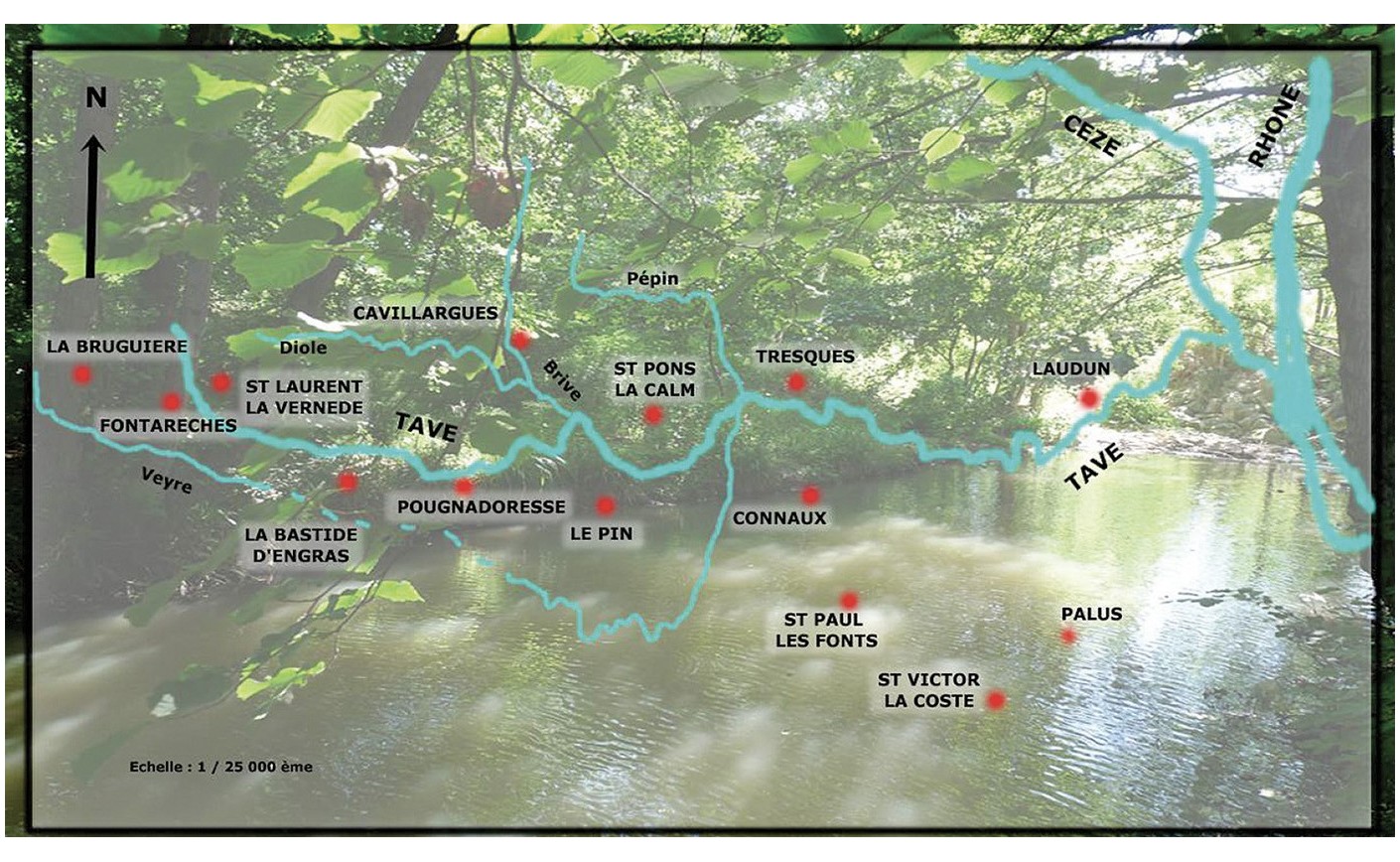 MOULINS D’AUTREFOIS AU FIL DE LA TAVE 1ère partie Par Michel Raulet