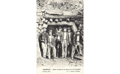 De paysan à mineur Les gavots débarquent en Cévennes Par Laurent Aiglon