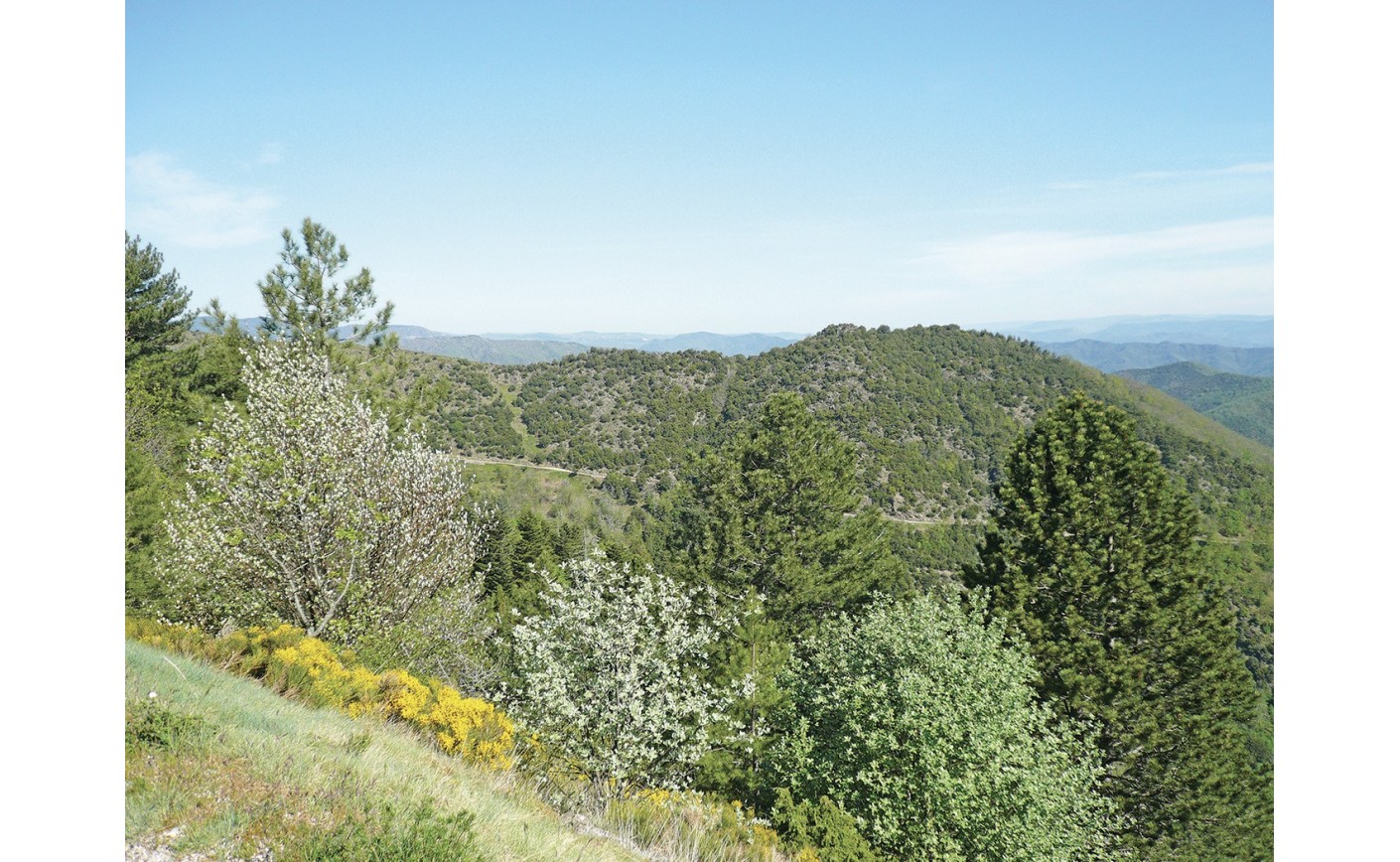 RASSEMBLEMENT AIGOUAL-CÉVENNES Souvenirs d’un maquisard du Groupe 11 Deux lettres transcrites et commentées par Olivier POUJOL