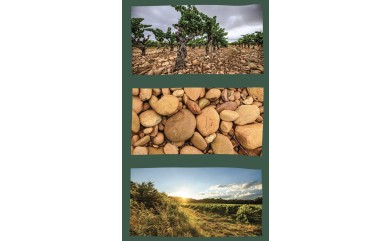  ﻿Les Vignerons des Capitelles