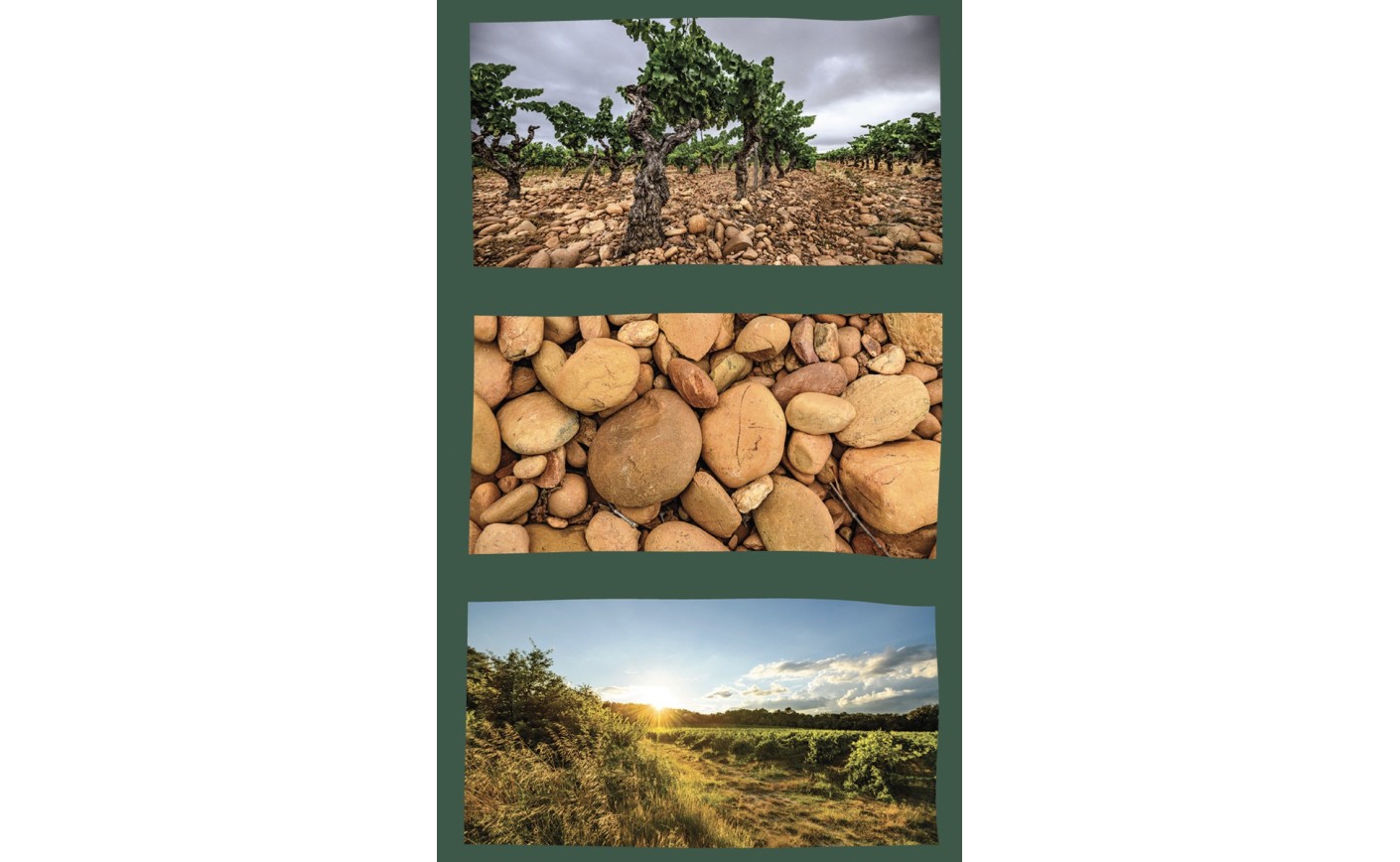  ﻿Les Vignerons des Capitelles