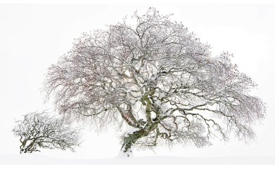 Maison Rouge, exposition du 12 AVRIL au 2 novembre 2025,  au Fil des Cévennes.