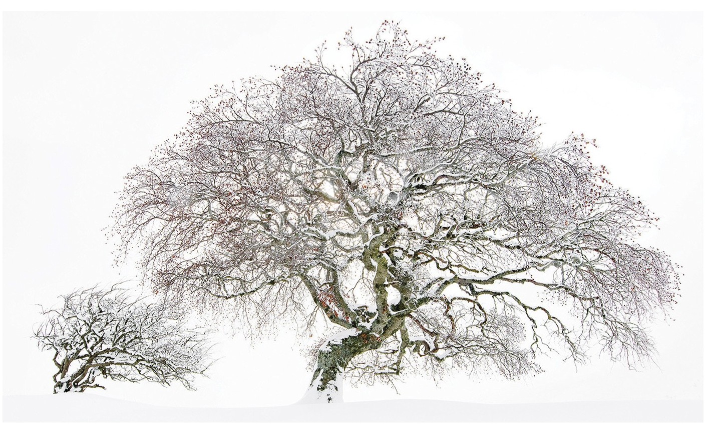 Maison Rouge, exposition du 12 AVRIL au 2 novembre 2025,  au Fil des Cévennes.