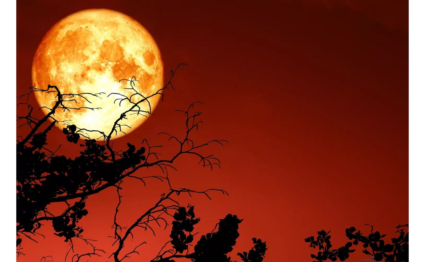 Après la "Lune rouge" et la "Lune rose" depuis le 27 avril c'est la "Lune rousse"