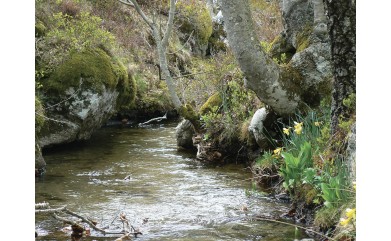 ﻿Printemps citoyen : besoin de bénévoles pour chantier participatif au béal de Felgerolles