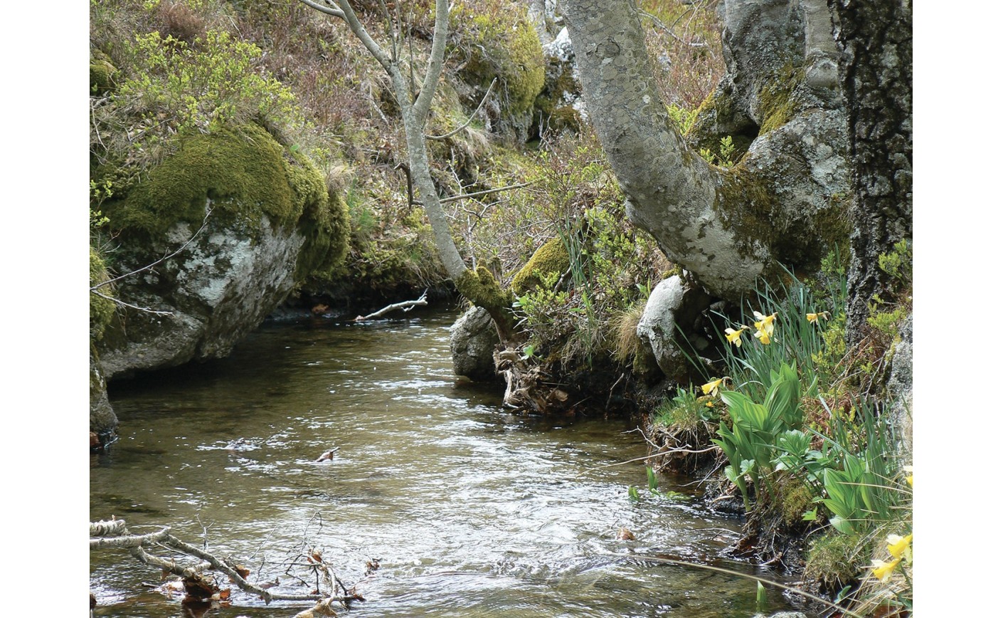  ﻿Printemps citoyen : besoin de bénévoles pour chantier participatif au béal de Felgerolles