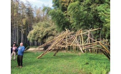 Art et nature à la Bambouseraie