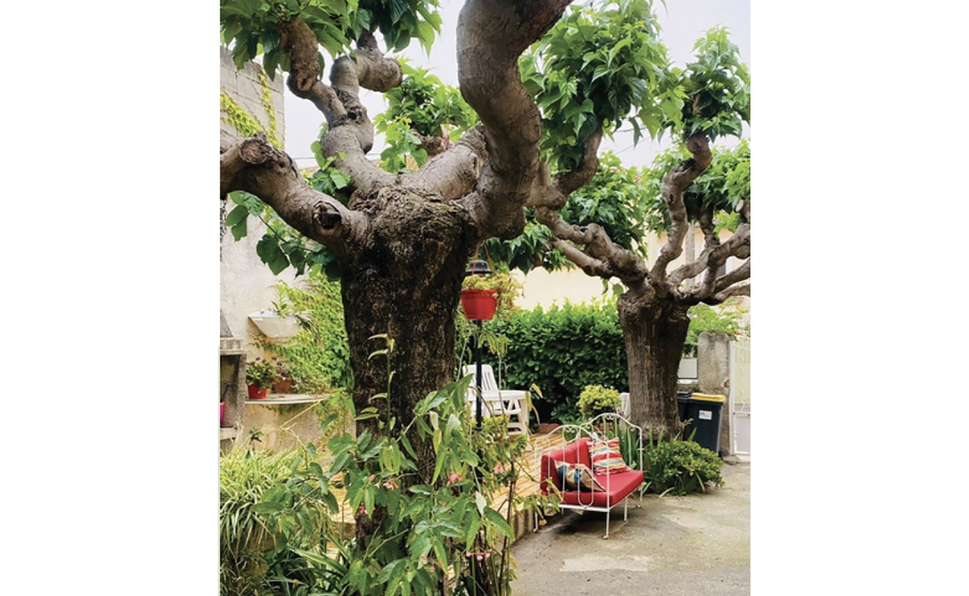 Inauguration de la deuxième maison ROSE&OLIVIER, lieu de soins de support et de bien-être, à Générac