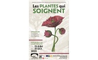LES PLANTES QUI SOIGNENT - LE VIGAN
