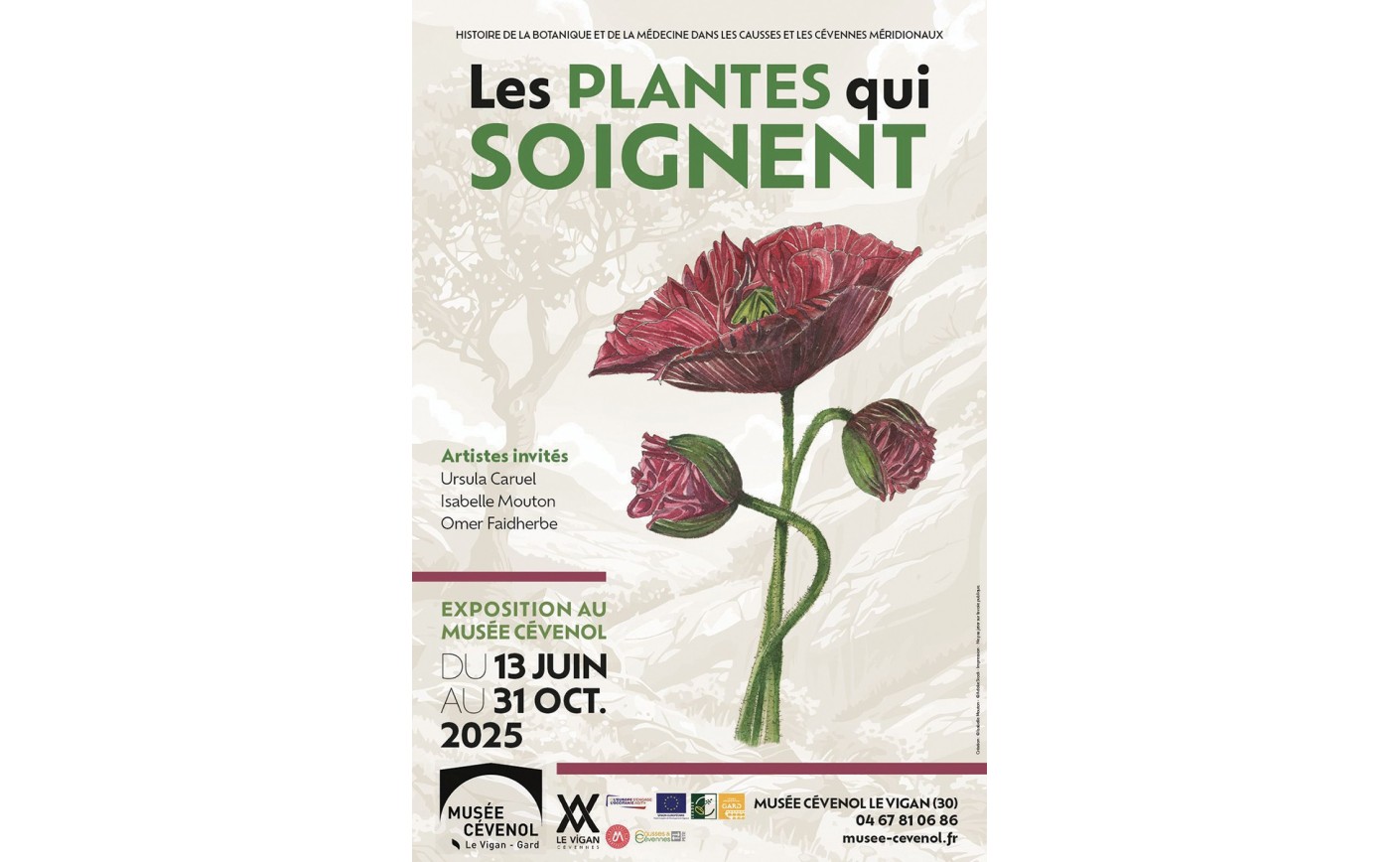 LES PLANTES QUI SOIGNENT - LE VIGAN