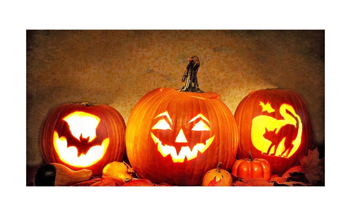 Chronique du temps qu'il fait et des saisons, des dictons, fêtes et traditions - 11/2022